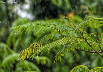 พยากรณ์อากาศ 3 ม.ค. 63 – ภาคเหนือตอนบน ระวังฝนฟ้าคะนอง/ลมกระโชกแรง