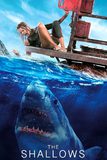 The Shallows นรกน้ำตื้น