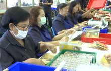 กรมธนารักษ์ คาดเปิดรับเหรียญ ร.9 ก่อนกำหนด