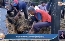 คาดอากาศร้อนจัดจนระอุไหม้ยุ้งข้าว