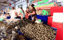 จับจ่ายซื้อของฉลองปีใหม่