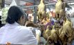 พบตัวอย่างอาหารที่ไม่ปลอดภัย จ.เชียงใหม่