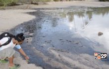พบคราบน้ำมันชายหาดเกาะพะงัน
