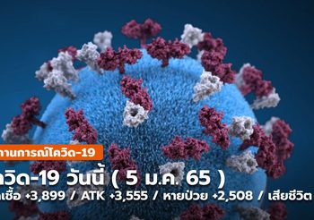 โควิด-19 วันนี้ ( 5 ม.ค.) PCR-ATK เพิ่มขึ้น / หายป่วยลด / เสียชีวิตทรงตัว