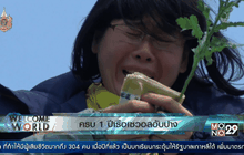 ครบ 1 ปีเรือเซวอลอับปาง