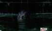 The Shape of Water คว้ารางวัลสิงโตทองคำที่เทศกาลหนังเวนิซ 2017