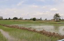 ภัยแล้ง จ.นครสวรรค์ ขยายวงกว้าง