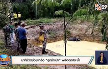 นาทีชีวิตช่วยเหลือ “ลูกช้างป่า” พลัดตกสระน้ำ