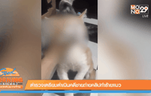 Good Morning Thailand 24-02-59