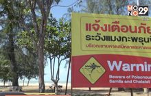 เตือนแมงกะพรุน- ก้อนน้ำมันในทะเล จ.สงขลา