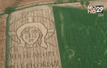 ภาพพระเยซูคริสต์ในทุ่งนา