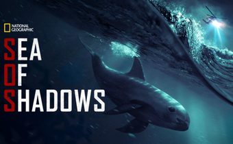 Sea of Shadows ทะเลแห่งเงามืด
