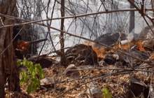 เร่งดับไฟป่า จ. พิษณุโลก