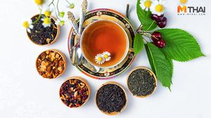 ดื่มชาลดน้ำหนัก รวมชายอดนิยม ประโยชน์เยอะ ช่วยเผาผลาญไขมัน