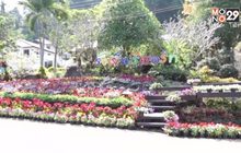 รอง ผบ.ตร. ลงพื้นที่ตรวจสอบรังเย็นรีสอร์ท ภูเรือ