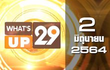 What’s up 29 02-06-64