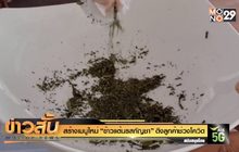 สร้างเมนูใหม่  “ข้าวแต๋นรสกัญชา” ดึงลูกค้าช่วงโควิด