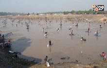 ลงแขกจับปลาหลังเกิดภัยแล้งน้ำลด จ.อุบลราชธานี