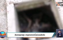 ลิงตายยกฝูง เหตุตกแทงก์น้ำช่วงแล้งจัด