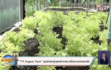 “ TT Organic Farm ” ศูนย์เรียนรู้ปลูกผักง่ายๆ สไตล์เกษตรอินทรีย์