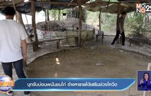 บุกจับบ่อนพนันชนไก่ อ้างหารายได้เสริมช่วงโควิด