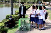 ควบคุมจำนวนนกพิราบป้องกันโรคระบาด จ.อุดรธานี