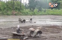 ชาวนาอ่างทอง เร่งสูบน้ำเข้านาหวั่นขาดน้ำช่วงฤดูแล้ง