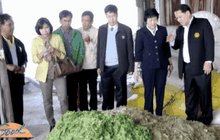 กรมประมงหนุนเลี้ยงปลาด้วยหญ้าเนเปียร์ช่วยลดต้นทุน