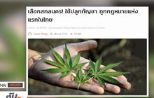 MTHAI update 16/01/2018