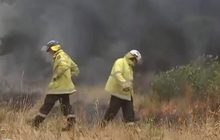 ออสเตรเลียเร่งดับไฟป่า-ยอดความเสียหายพุ่ง