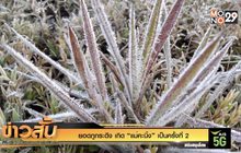 ยอดภูกระดึง เกิด “แม่คะนิ้ง”เป็นครั้งที่ 2