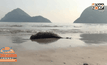 พบซากโลมาเกยหาดสามร้อยยอด จ.ประจวบคีรีขันธ์