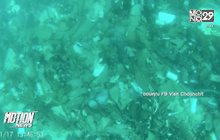 คลิปขยะเกลื่อนท้องทะเลหาดกะรน ภูเก็ต