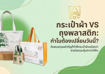 กระเป๋าผ้า ดีกว่าถุงพลาสติกตรงไหน? เหตุผลง่ายๆ ที่ควรเริ่มใช้ตั้งแต่วันนี้