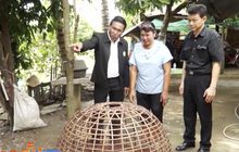 ยืนยันไม่พบการระบาดของไข้หวัดนก