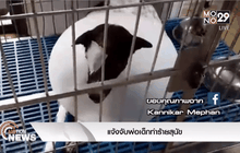 แจ้งจับพ่อเด็กทำร้ายสุนัข