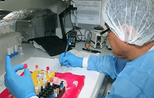 ชาวอเมริกันติดเชื้อไวรัสผ่านทางเพศสัมพันธ์