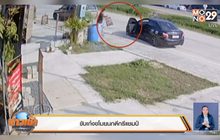 ขับเก๋งขโมยนกดีกรีแชมป์