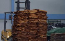 ผลักดันการส่งออกยางพาราแก้ราคาตกต่ำ