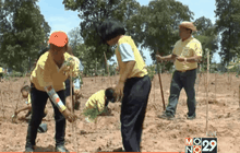ชาวไทยพร้อมใจทำความดีถวายในหลวง