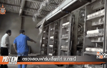 Motion News Break 1 (28-07-59)