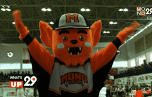 What’s up 29 07-10-58