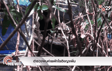 ตำรวจพบค่ายพักโรฮิงญาเพิ่ม