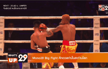 Mono29 Big Fight