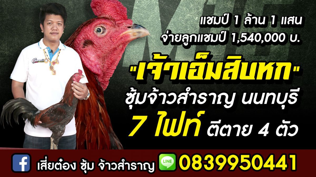 เจ้าM16 แชมป์เงินล้านเทิดไท สถิติ 7 ไฟท์ ตีตาย 4 ตัว จ่ายลูกแชมป์ 1.54 ล้าน  ซุ้มจ้าวสำราญ