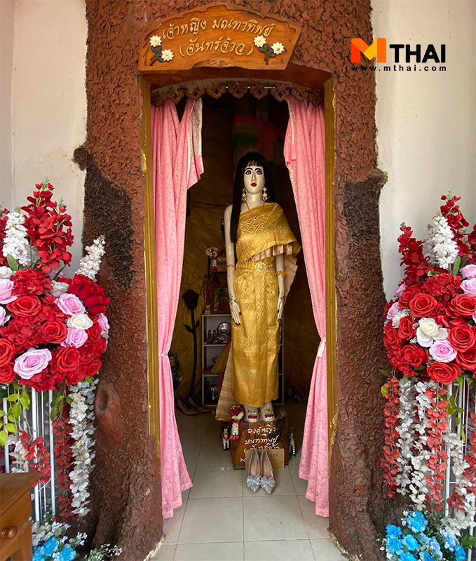 ประวัติ