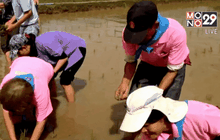 พสกนิกรทั่วไทยร่วมทำกิจกรรมวันแม่