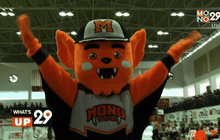 Thailand Basketball League 2015