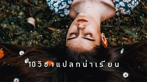10 วิชาแปลกน่าเรียน ที่มีเปิดสอนจริงในมหาวิทยาลัยไทย