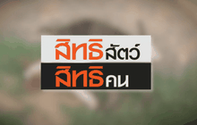 The Day News Update 20-04-59